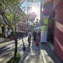 법사 행정사 이미지