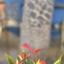 초락당한의원 이미지