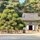 GS25여주신륵사점 | 여주 가볼만한곳 신륵사 출렁다리 주차 경기도 절 추천