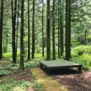 붉은오름자연휴양림 이미지