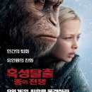 디자인소유 이미지