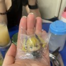 유진레코드 | 삶이 여행이라면 여행사를 고소하겠소.