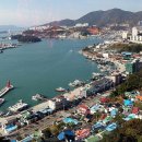 오동도 Daum카페