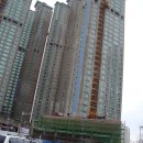 스카이타워 이미지