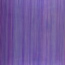 배재대학교 국제통상대학원 이미지