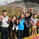 배내골사과정보화마을 이미지