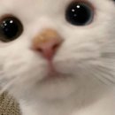 정근광고 | [재테크] 20대 대학병원 간호사로 일하며 3년동안 1억 모은 후기 (20대 1억모으기)포토폴리오 공유