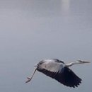 꿈꾸는독서논술교습소
