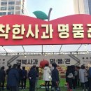 착한사과