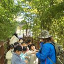 🌳 나무 상상 놀이터 - 숲체험 🌳 이미지