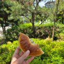 (이마트 블랑제리)소금빵 맛집으로 가성비 난리 난 이마트 더블버터 소금빵 후기