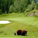 럭셔리명품 이미지