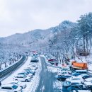공근남로 산벚나무길 | 이국적인 설경명소 마이산탑사 80개의 돌탑에 눈이 내리면 진안여행