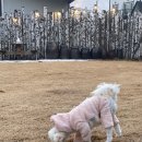 토르스테이 이미지