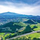 달리오름 이미지