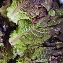 영암상회 이미지