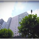 [부지런] SNS 마케팅 이미지