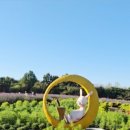 (주)드림볼 이미지