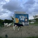 어울림몬테소리어린이집 이미지