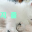 CU두진점 이미지