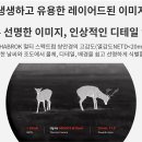 하브 이미지