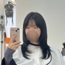 세연중학교 | 올라잇헤어 • 대전 유성구 관평동 미용실 추천 레이어드컷 맛집! 톤다운 염색 솔직후기