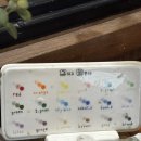 조원초교 | [수원도자기공방]그리고 꿈꾸다에서 핸드페인팅 체험 후기🎨