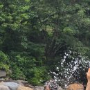 예치민박 이미지