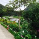 버들치민박 이미지