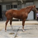 (주)한백산 이미지