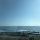 미아니아 이미지