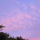 에코랜드수영장 이미지