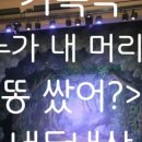 방방곡곡-누가 내 머리에 똥 쌌어? 이미지