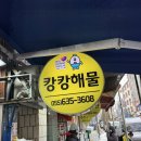 거제시장 | 거제고현시장 맛집 가성비 끝판왕 캉캉해물 가리비 후기[내돈내산]