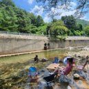 밤나무집 민박 이미지