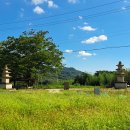 단속사지(삼층석탑), 덕산사, 대원사(다층석탑) /경남 산청군 이미지