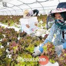 양촌약국 이미지