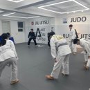 아트유도