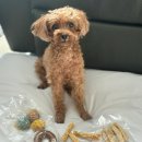 멍스월드 이미지