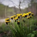 <오거리 사진관> 이미지