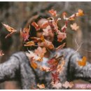 명월편지 이미지