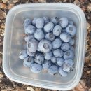 에코농장 이미지