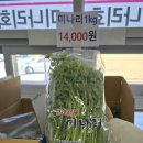 육동권역 행복마을 영농조합법인 이미지