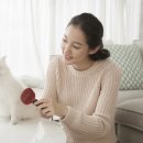 광진동물의료센터 이미지