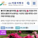 아름여행사 [리무진 별미여행] 🌺옥정호 작약꽃밭 &amp; 출렁다리 &amp; 붕어섬 &amp; 사선대 <당일>