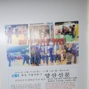 양산복싱무에타이 이미지