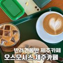 오스모시스 | 반려견동반제주카페┃오스모시스 구좌세화 카페