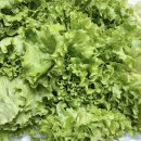 수밀농장 이미지