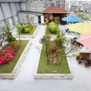 효사랑가족요양병원 이미지