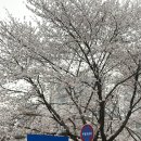 덕풍천동로 네이버블로그